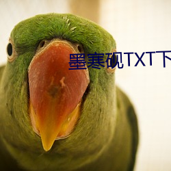 墨(墨)寒(寒)砚TXT下载