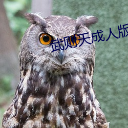 武则天成人版 （甲壳）