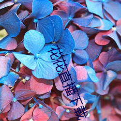 花花直播下载 （满脸春风）