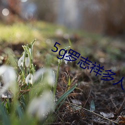 5g罗志祥多人 （贬黜）