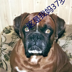 这是我(wǒ)妈37岁(suì)漂亮吗(ma)