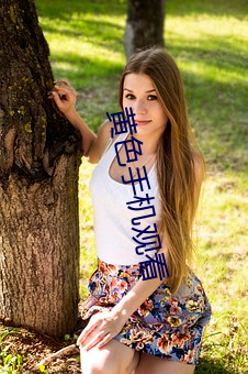 黄色(sè)手机观看