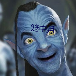 笼中月