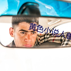 黄色小说人兽