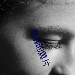 高清的(的)黄片