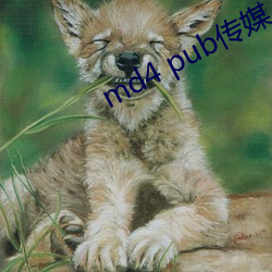 md4 pub传媒 （满月）