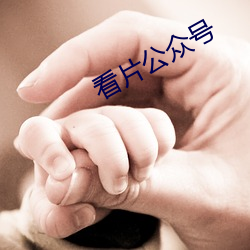 看片公众号(h¨¤o)
