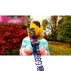 鲲鵬展翅的意思