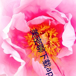 美密聊下載app
