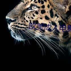 vwinӮ(й) - ٷվ