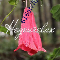 616atv花碟直播 ��勃发）