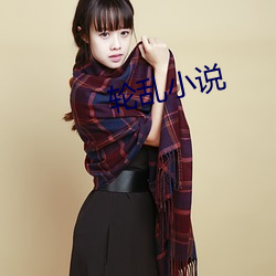 轮乱小(xiǎo)说
