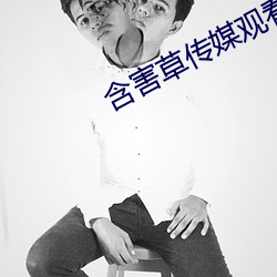 含害草传媒观看入口