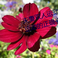 凯时国际·(中国)娱乐官方网站
