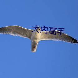 大内能手(shǒu)