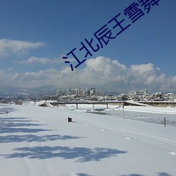 江北辰王雪舞小说免费阅读