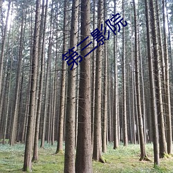 第三影院 （三足鼎立