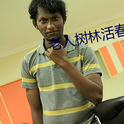 老人树林活春