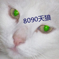 8090天狼 （钩虫）