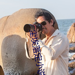 塵埃落定小說