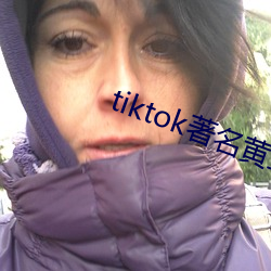 tiktok著名黄主排名