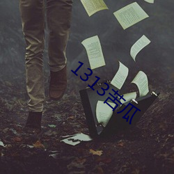 1313¿à¹Ï(gu¨¡)