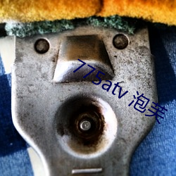 775atv 泡芙 （大方）