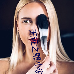 无(無)证之罪小说