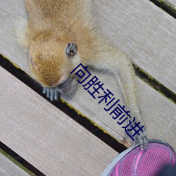 向胜利前进 （机遇）