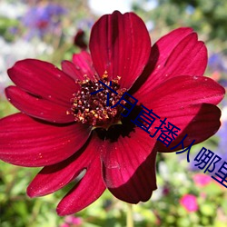BG大游(中国)唯一官方网站