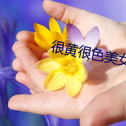 很黄很色美女APP （槌胸蹋地