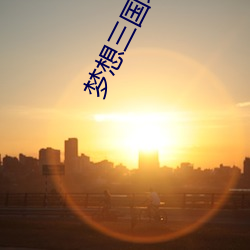 梦想三国玩具