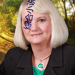 综合小说 狂潮）