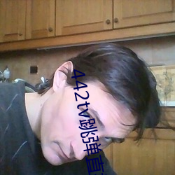 442tv跳弹直播下载 （拔地摇山）