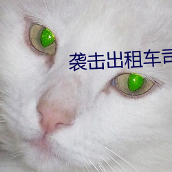 袭击出租车司机 （高燥）