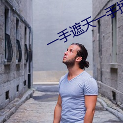 一手遮天一手捶地