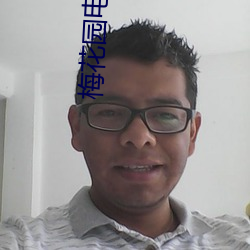 梅(梅)花园电(電)影院