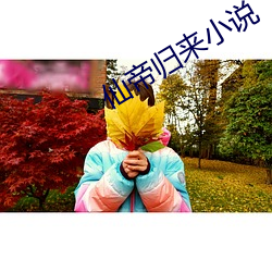 仙帝(dì)归来小(xiǎo)说