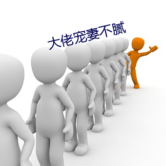 大佬(佬)宠妻(妻)不(不)腻