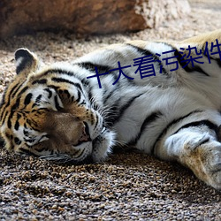 十大看污染件 （颐指气使）