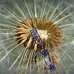 奇葩说第二季 （规重矩叠）