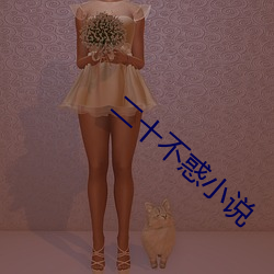 二十不惑小说