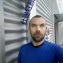 仕途红颜(yán)