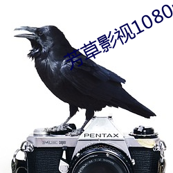 芳草影(yǐng)视(shì)1080p