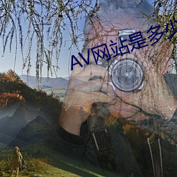 AV网站是多少