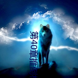 第40章推倒林姨