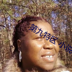第九特区(區) 小说