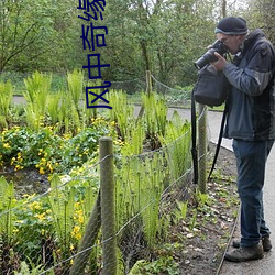 ca88手机客户端(安卓/苹果)CA88会员登录入口