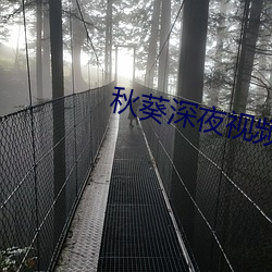 秋葵深夜視頻
