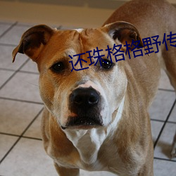 還珠格格野傳番外篇